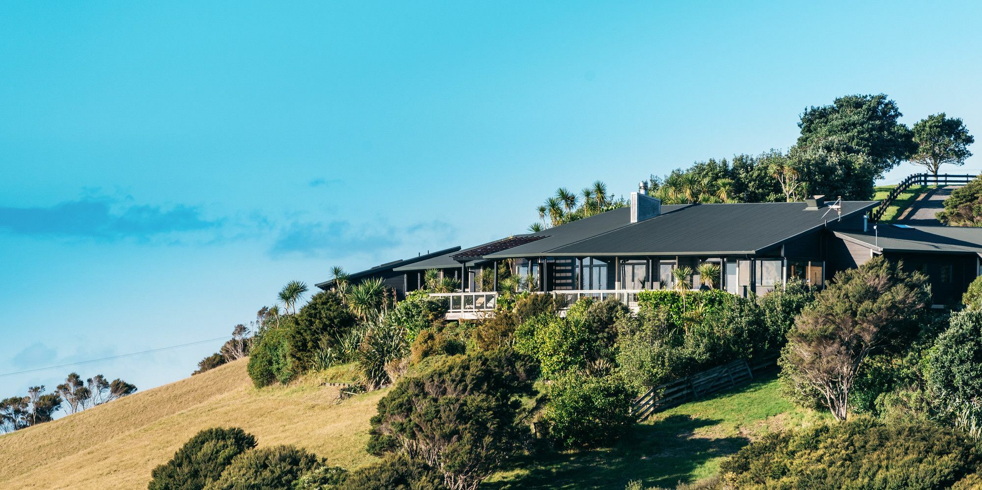 Te Whau Lodge Omiha Ngoại thất bức ảnh